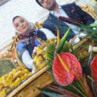 هادی علیجانی